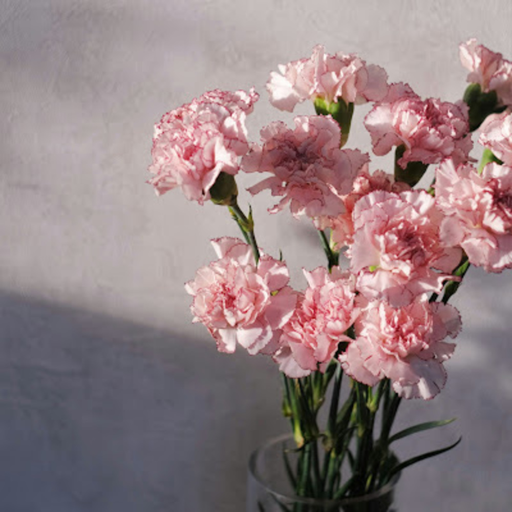 Meet your Posher, Ara